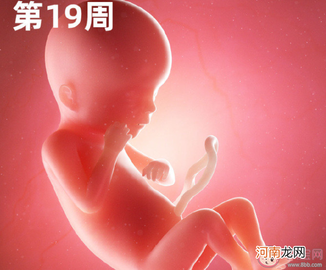 孕妇肚子越大|孕妇肚子越大胎儿也就越大吗 胎儿的大小和什么有关