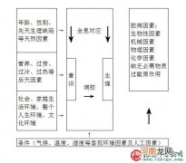 手足口病的病因原理