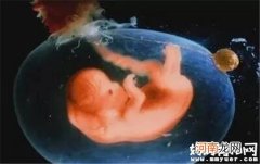 怀孕2个月胎儿有多大 看看胚胎器官形成期胎儿变化
