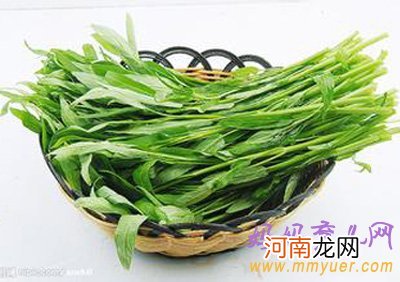 能 孕妇可以吃空心菜吗？