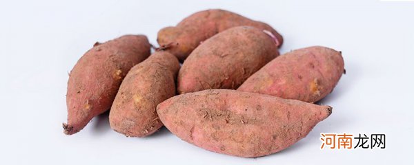 红薯减脂期可以吃吗 请问减肥期间可以吃红薯吗