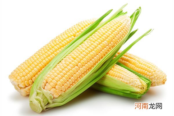玉米适合减脂吗 哪种玉米适合减肥