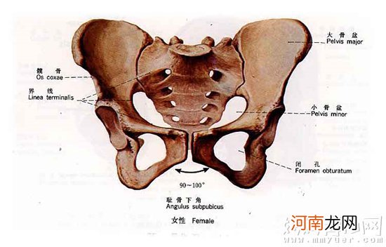 什么是耻骨痛？耻骨痛和分娩方式有什么关系？