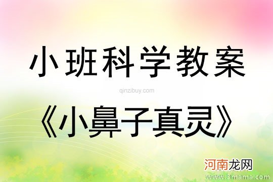 附教学反思 中班健康活动教案：有用的鼻子教案