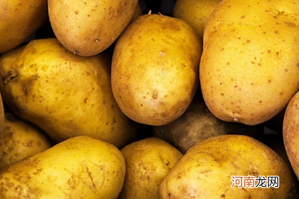 土豆减肥法一周瘦几斤 红薯减肥法一个月能瘦多少斤