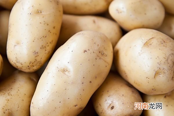 土豆减肥法一周瘦几斤 红薯减肥法一个月能瘦多少斤