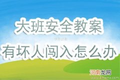 大班安全活动教案：有坏人闯入怎么办教案