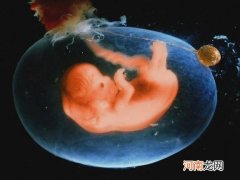 孕期各月份胎儿发育的特征盘点