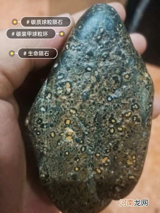 碳质球粒陨石揭开宇宙传播秘密 碳质球粒陨石为何最珍贵