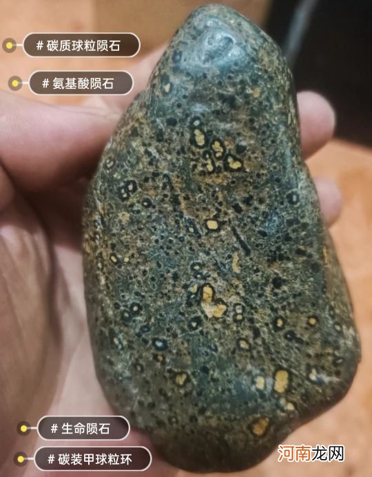 碳质球粒陨石揭开宇宙传播秘密 碳质球粒陨石为何最珍贵