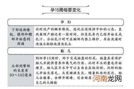 怀孕15周的症状