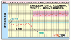 怀孕初期体温告诉你