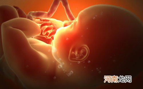 预防胎动异常从做好胎动监测开始