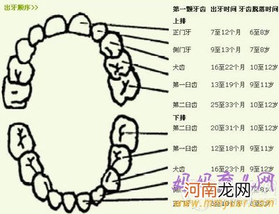 聊聊关于宝宝出牙的那些事儿