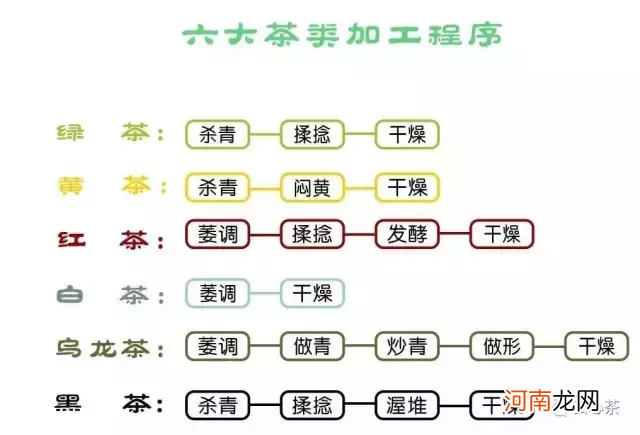 喝茶入门看完就懂了 茶的分类品种及特点