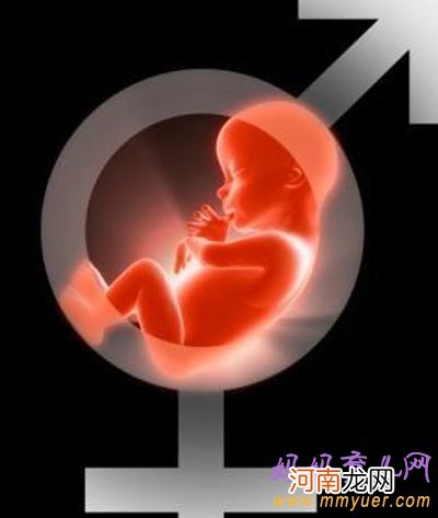 胎儿性别是什么时候决定的？胎儿性别形成过程是这样