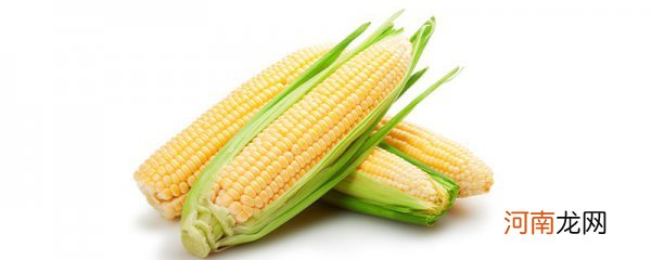 常吃玉米能减肥吗 吃玉米能不能减肥