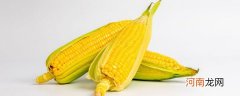 常吃玉米能减肥吗 吃玉米能不能减肥