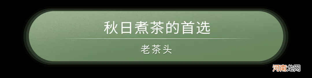 最全熟茶选择攻略 熟茶有哪些品种及功效