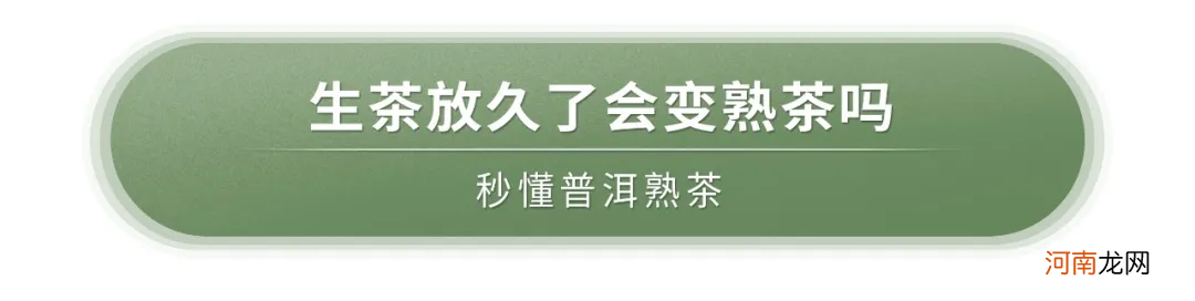 最全熟茶选择攻略 熟茶有哪些品种及功效