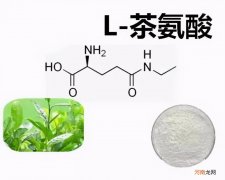 茶叶茶氨酸的功效作用