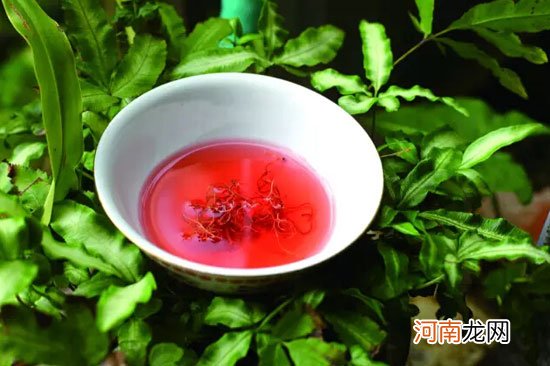 茶中奇品红雪茶 红雪茶的功效与作用