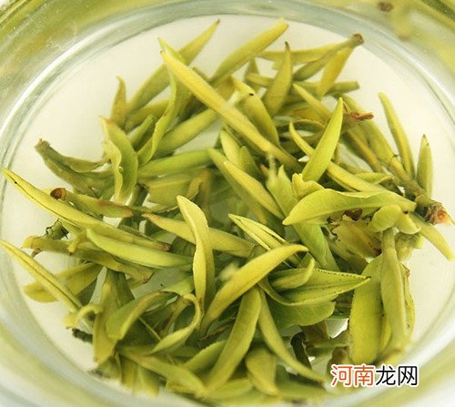 霍山黄茶品质特征及价格