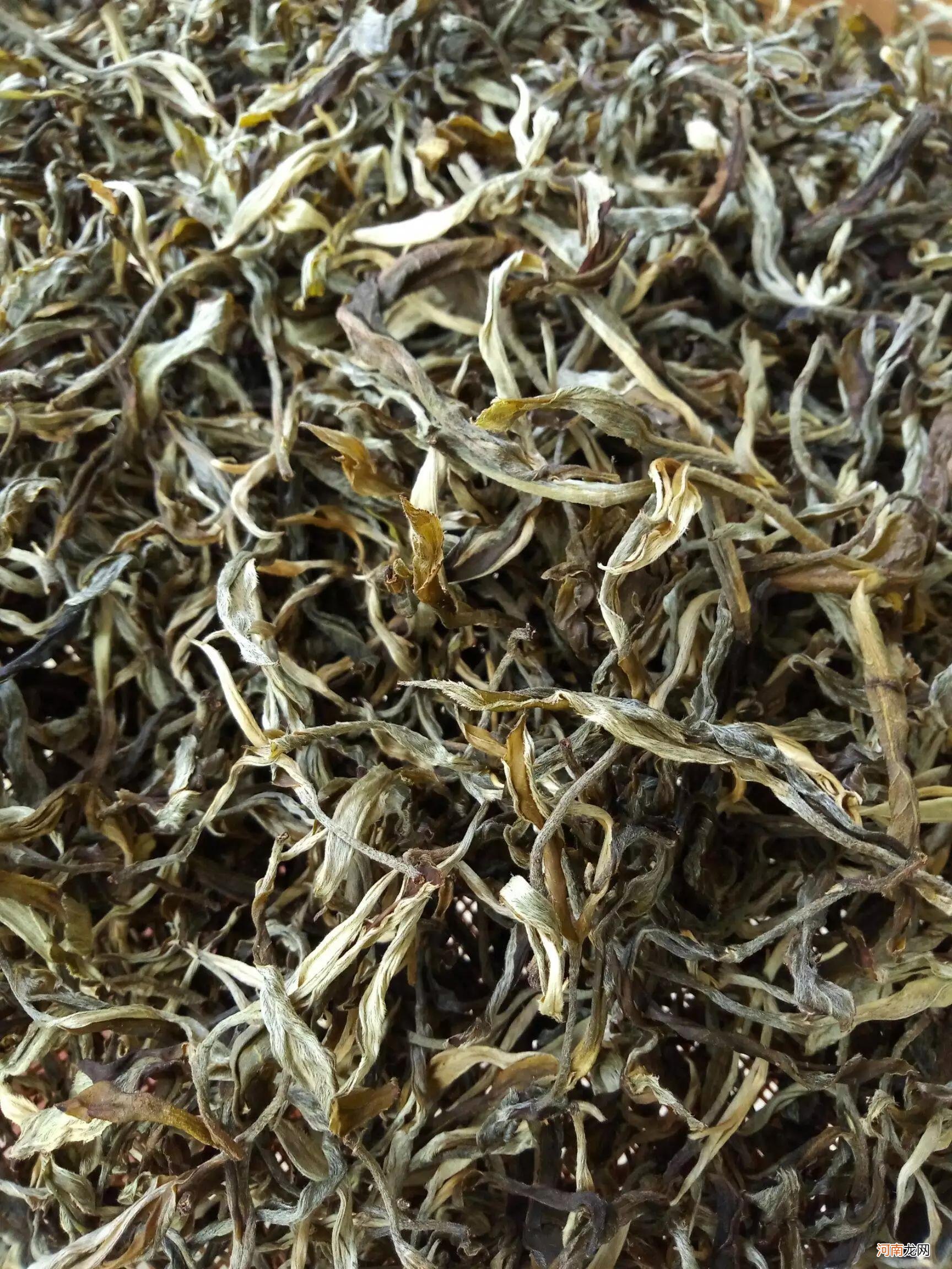 中国绿茶的四大分类 绿茶的分类及特点