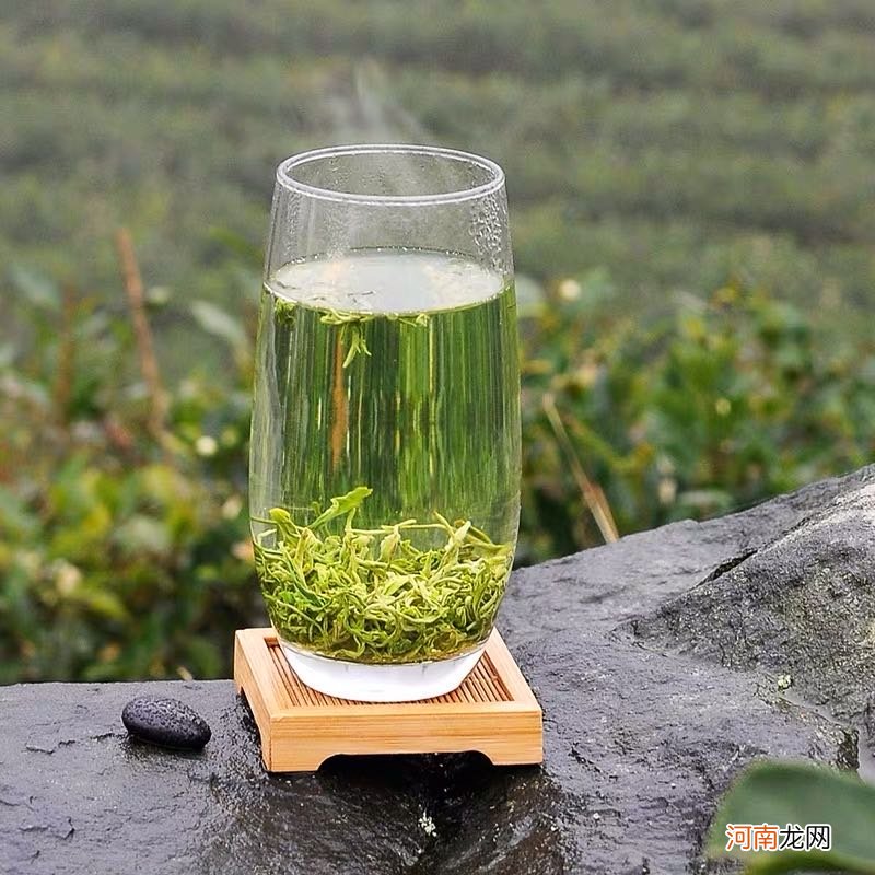 中国十大绿茶 绿茶有哪些品种