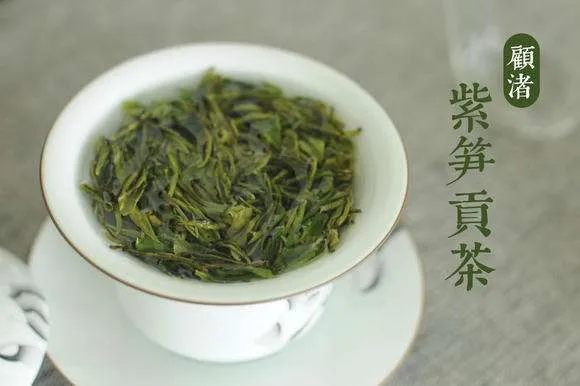 绿茶多视角全方位介绍 哪些茶叶属于绿茶