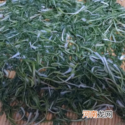 自制蒲公英茶 蒲公英茶的图片