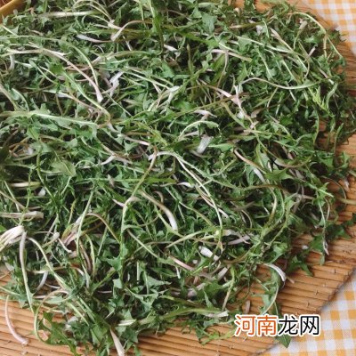 自制蒲公英茶 蒲公英茶的图片