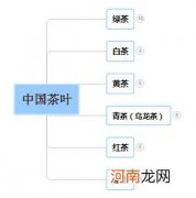 茶知识一张图就读懂了 最全入门茶知识资料大全