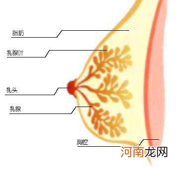 乳腺增生怎么治好的最快