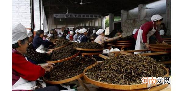 安化黑茶保质期一般在十年左右 安化黑茶有保质期吗