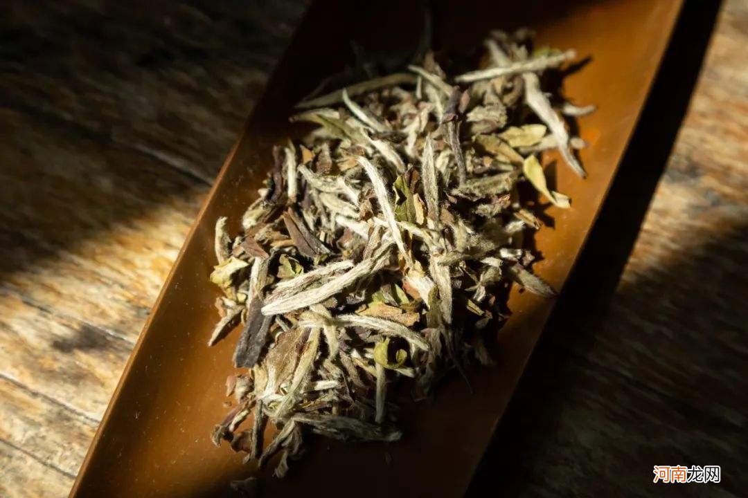 六大茶类之白茶细说 白茶属于什么茶