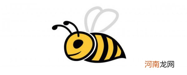 蜜蜂的形态结构 蜜蜂的形态和特点是什么