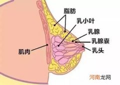 有奶水怎么回事