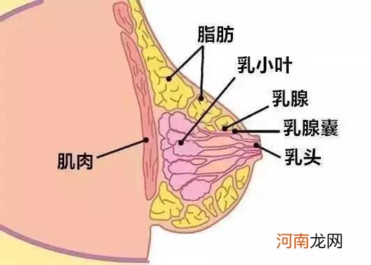 有奶水怎么回事