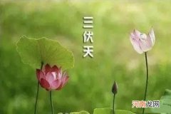 2021年三伏天具体时间 今年三伏天30天还是40天