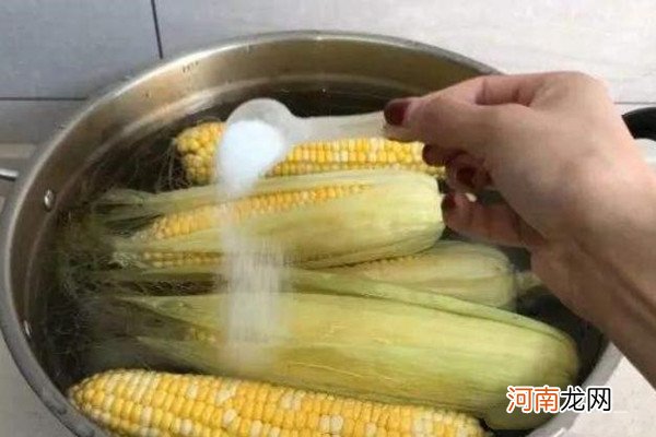 玉米怎么煮好吃 冷水下锅的玉米煮多久