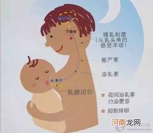 奶水是怎么产生的