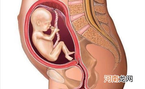 胎位不正一般胎儿在哪动