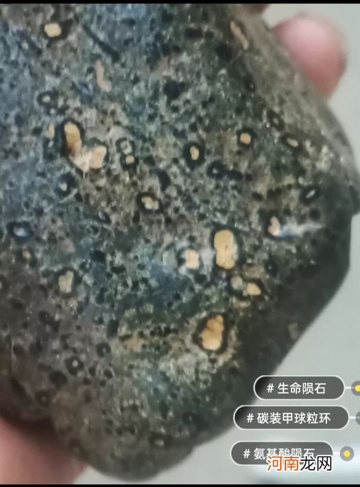 碳质球粒陨石揭开宇宙星际生命传播秘密 碳质球粒陨石图片