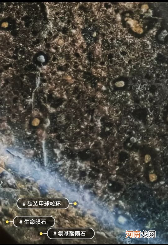 碳质球粒陨石揭开宇宙星际生命传播秘密 碳质球粒陨石图片