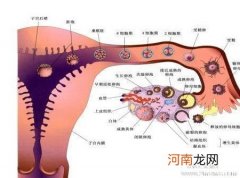 夫妻避孕要警惕的3个行为