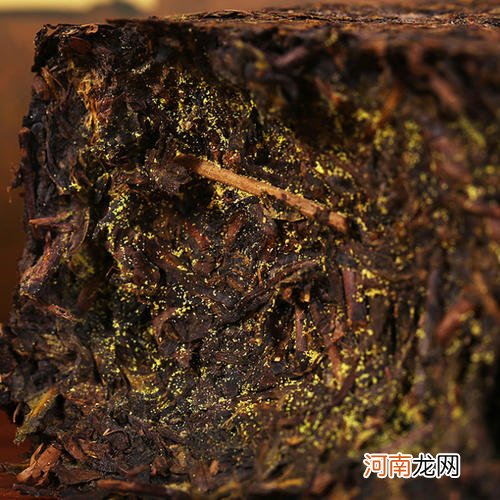 黑茶金花是个宝 黑茶金花的功效与图片