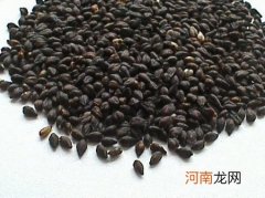 黑苦荞茶价格是不固定的 黑苦荞茶多少钱一斤