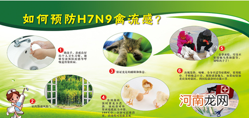好习惯、好健康，预防H7N9禽流感