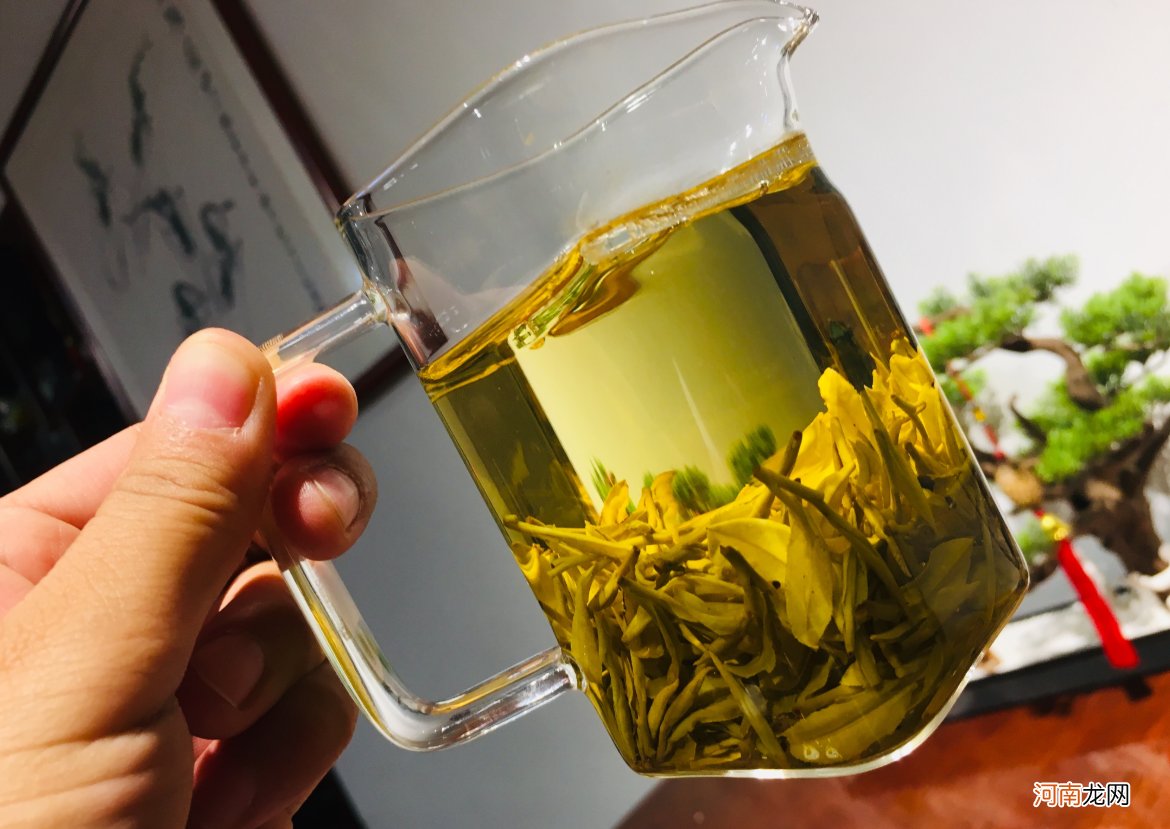 黄金芽和黄金叶的区别 黄金芽茶叶价格一般在多少
